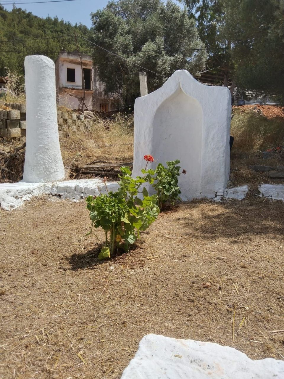 Yaz Sezonunda Bodrum'un Koylarında Çevre Temizliği Çalışmaları Hız Kazandı