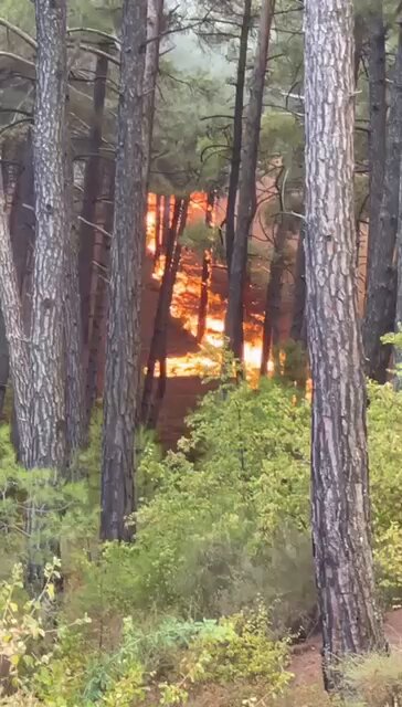 Muğla'nın Ormanlarında Dev Yangın: Köyler Boşaltıldı