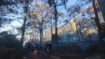 Gölköy'de Orman Yangını: Ekipler ve Halk El Ele