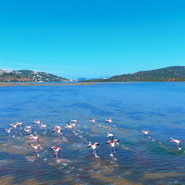 Muğla'nın Milas İlçesinde Tuzla Sulak Alanı Tehdit Altında