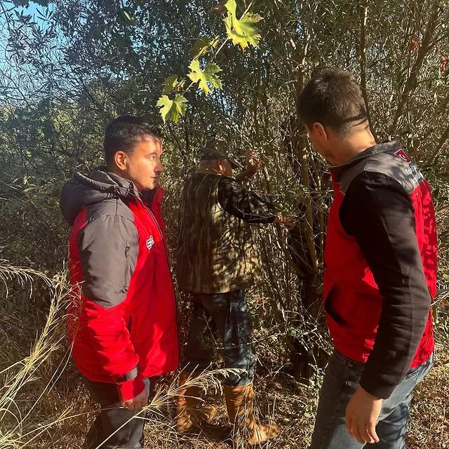 Zeytin Üreticileri için Budama Teknikleri ve Hastalık Eğitimi Düzenlendi