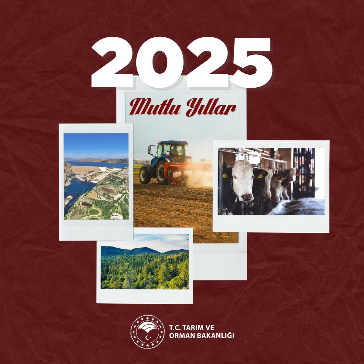 2025 Yılına Dair İyi Dilekler