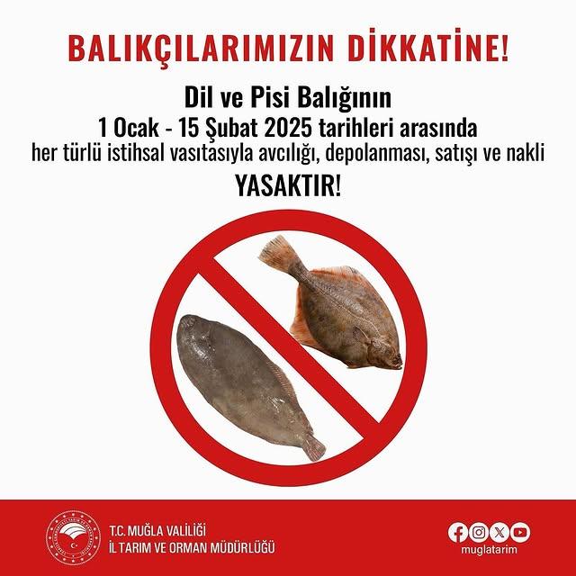 Menteşe'de Balık Avcılığına Yasak Getirildi