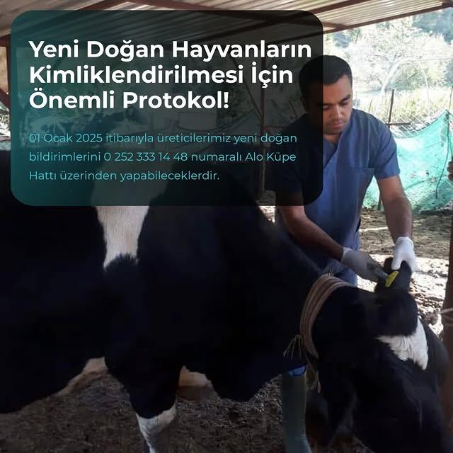 Yeni Protokol ile Hayvan Kimliklendirmesi Kolaylaşıyor