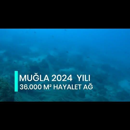 Ortaca İlçe Tarım ve Orman Müdürlüğü, Bodrum Türkbükü Balıkçı Barınağı'nda Hayalet Ağ Temizliği Etkinliği Düzenleyecek