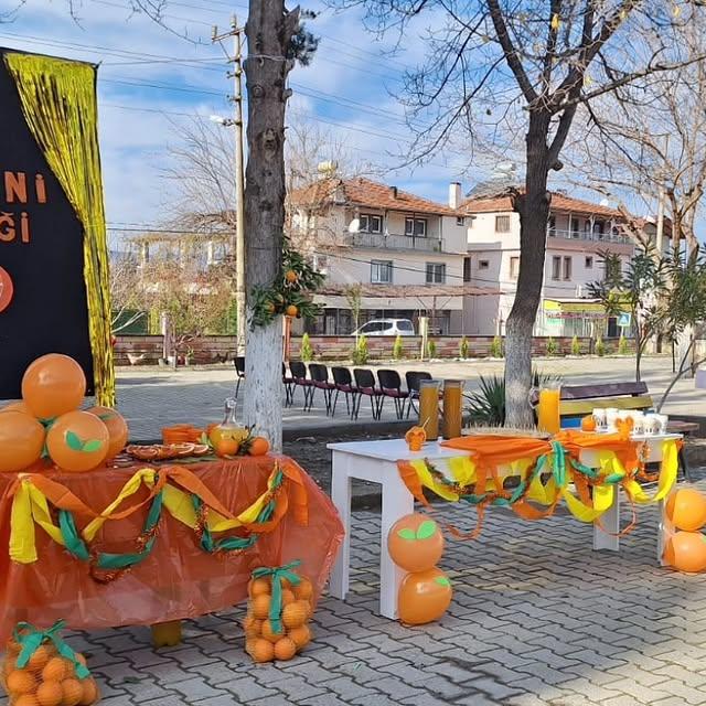 Girmeler İlkokulu'nda C Vitamini Şenliği Gerçekleştirildi