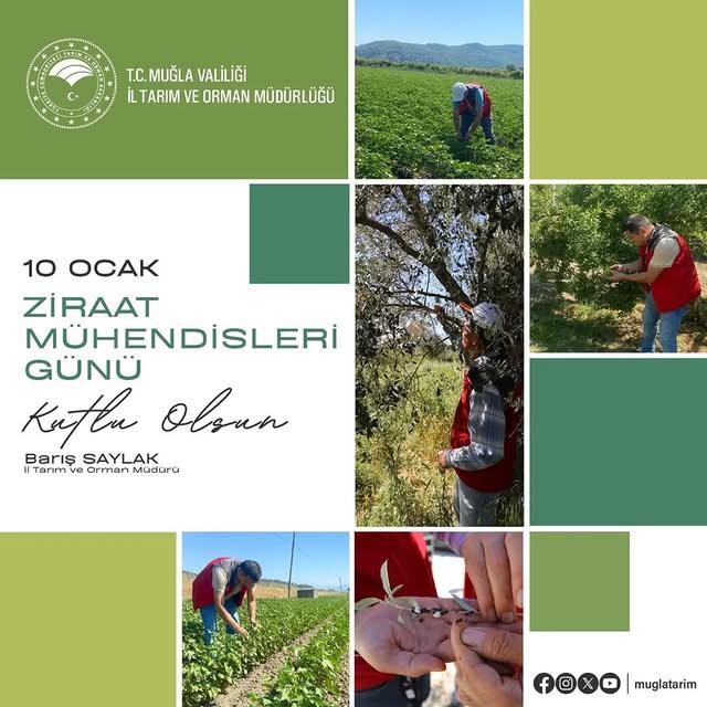 Ziraat Mühendisleri Önemli Bir Rol Üstleniyor