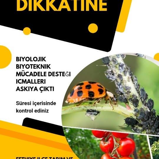 Fethiye'de Biyolojik Mücadele Destekleme İlanı Askıya Çıkarıldı