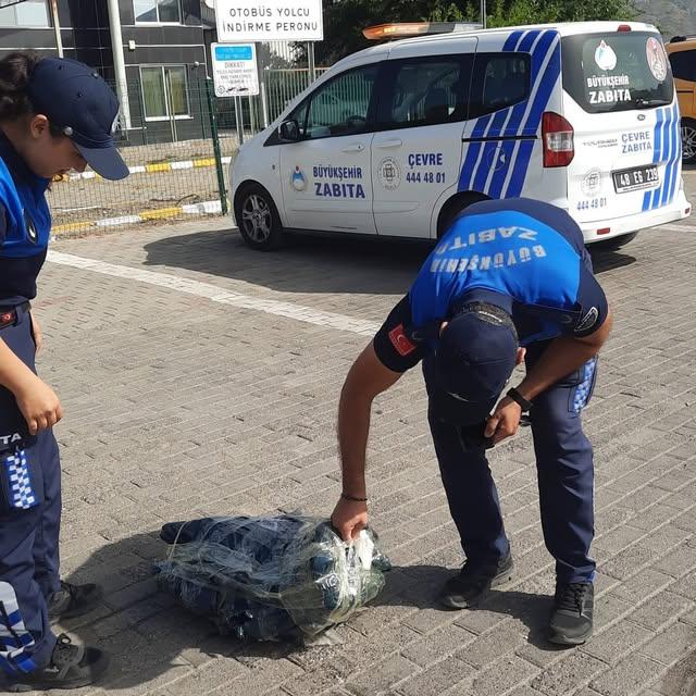 Muğla'da Gıda Denetimleri: Tonlarca Sağlıksız Et ve Ürün İmha Edildi